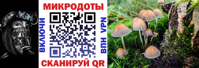 гидра ONION  купить наркотики цена  Волоколамск  Галлюциногенные грибы Magic Shrooms 